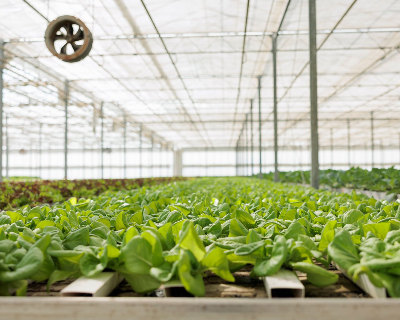 benefits-for-agriculture-01-1280-1024px
