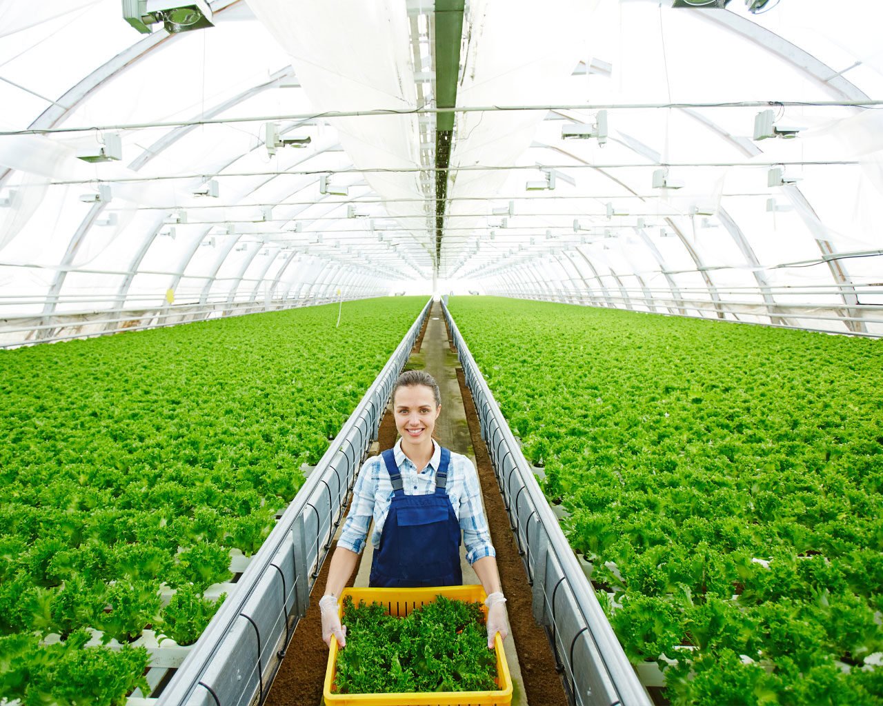 benefits-for-agriculture-02-1280-1024px